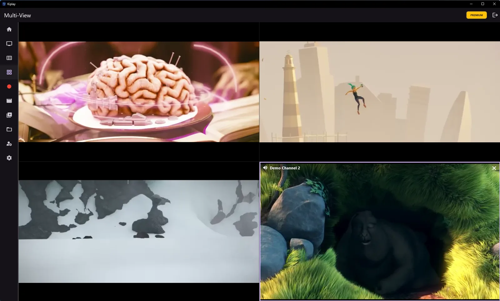 Multi-View with Four Streams
