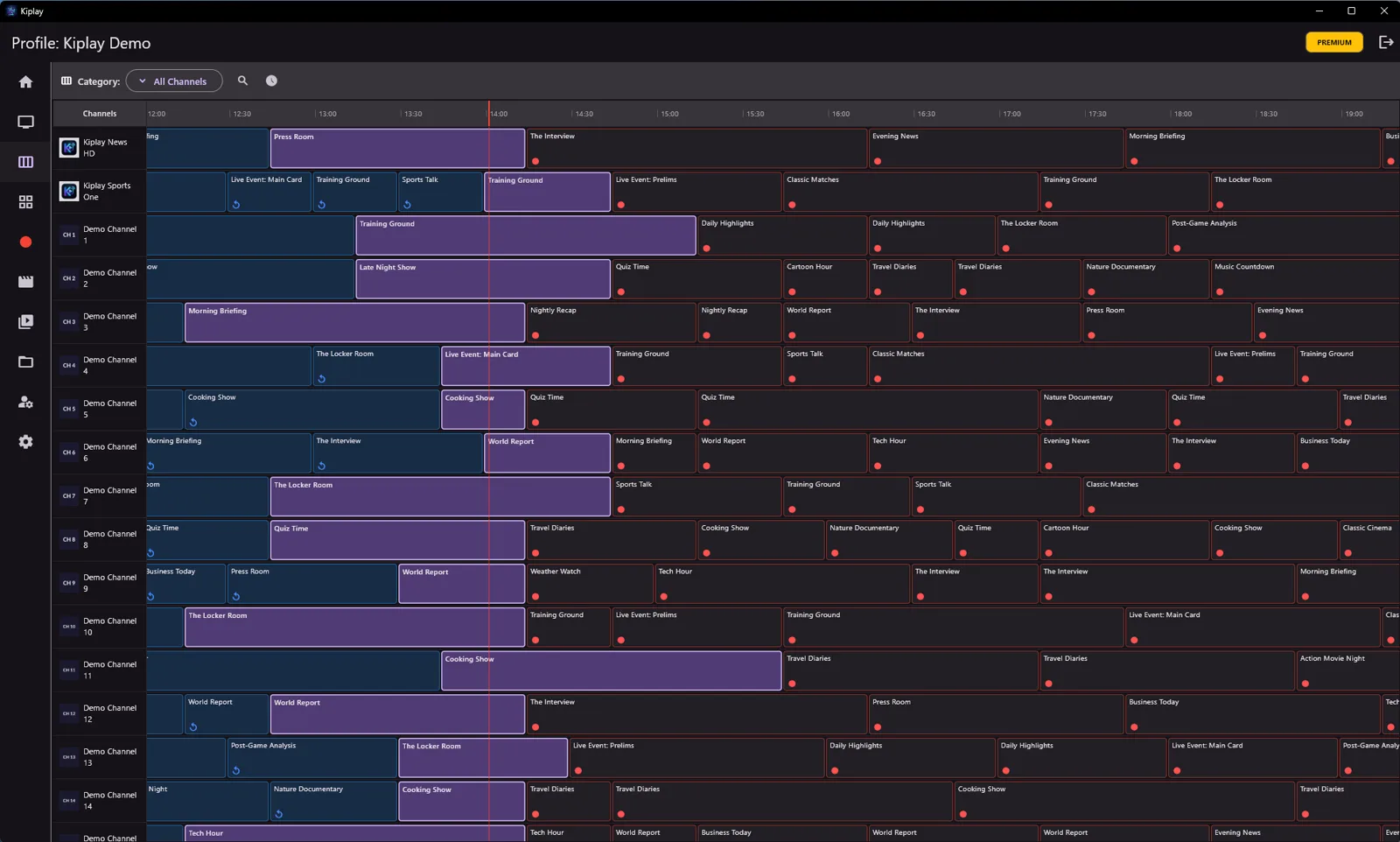 TV Guide EPG Grid